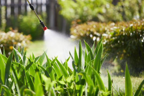 24/7 Emergency Wasp Removal experts in Newaygo, MI