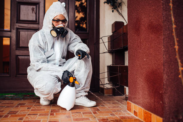 Reliable Wasp Removal contractor in Newaygo, MI by Show Me Pest Control