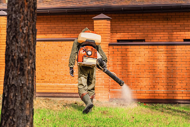 Top rated local Wasp Removal specialists in Newaygo, MI